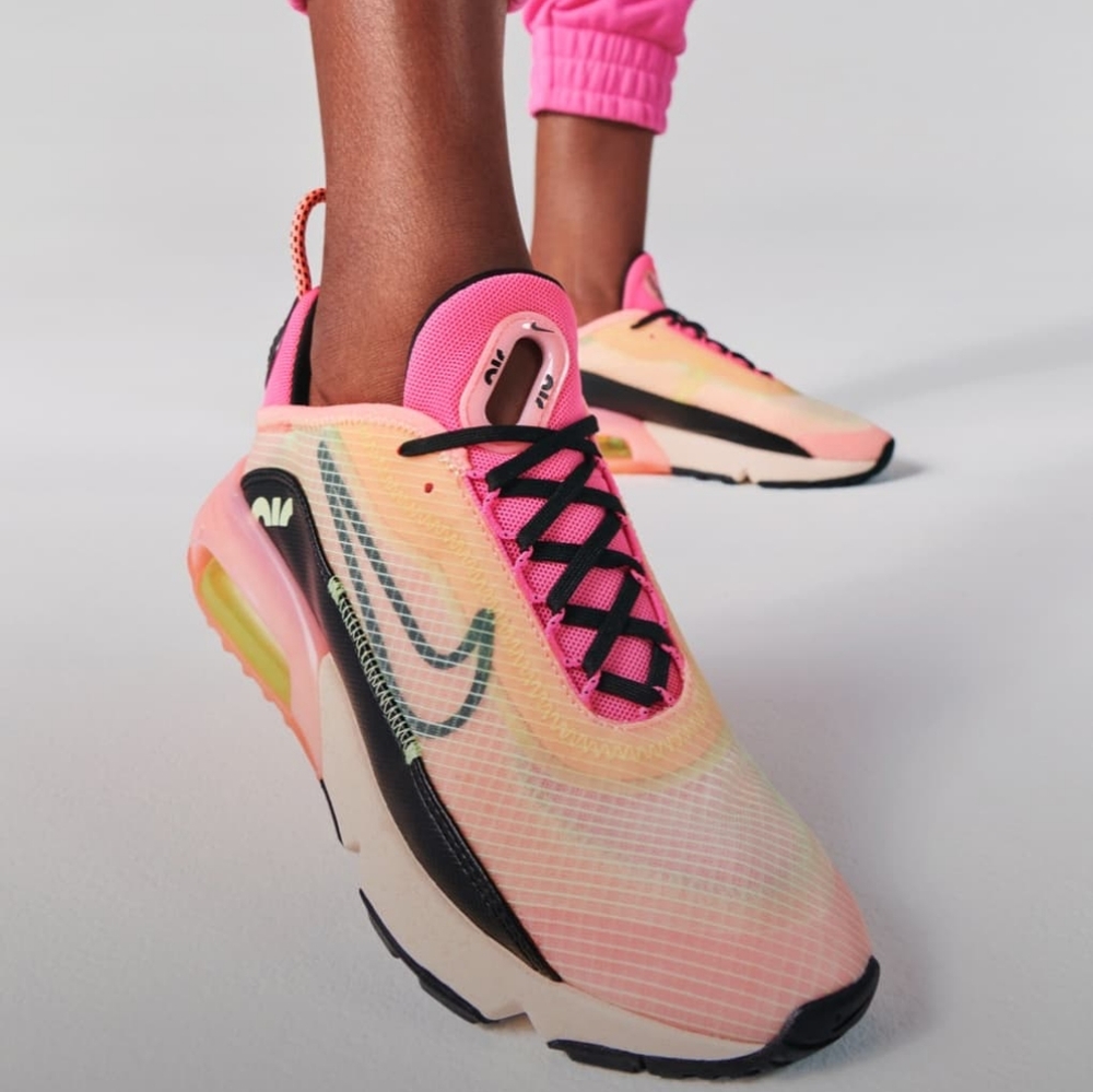 Brand new Nike air max 2090